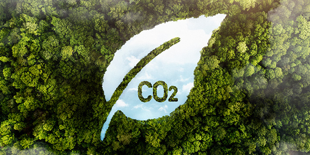 EMBODIED CARBON glasswool insulation